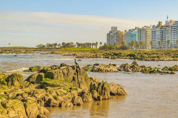 乌拉圭首都蒙特维迪奥市春季的景观沿海场景 — 图库照片