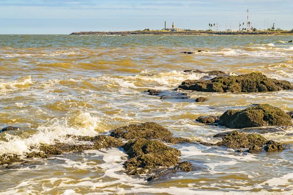 Paisagem Cena Costeira Primavera Cidade Montevideo Capital Uruguai — Fotografia de Stock