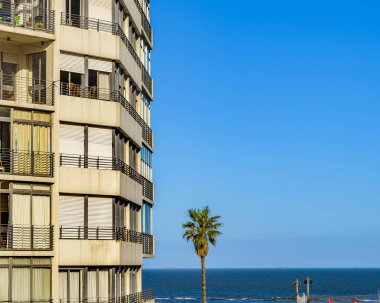 Nehir kenarında apartman binası ve pocitos beach: Montevideo, Uruguay
