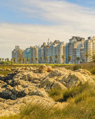 Bahar süre manzara kıyı mahallinde şehirde montevideo, Uruguay'nın başkenti