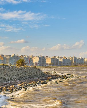 Bahar süre manzara kıyı mahallinde şehirde montevideo, Uruguay'nın başkenti