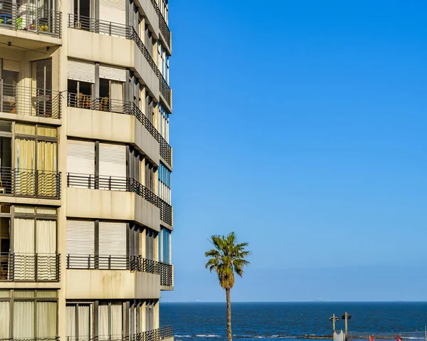 Riverfront Boligblokk Pocitos Strand Montevideo Uruguay – stockfoto