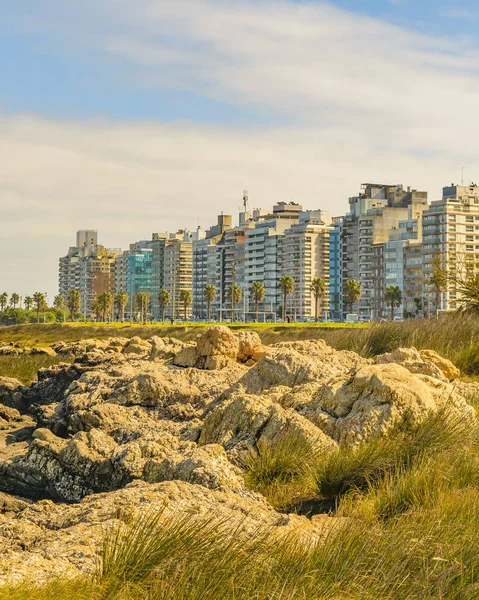 Pobřežní Scény Krajiny Jaře Montevideu City Hlavní Město Uruguaye — Stock fotografie