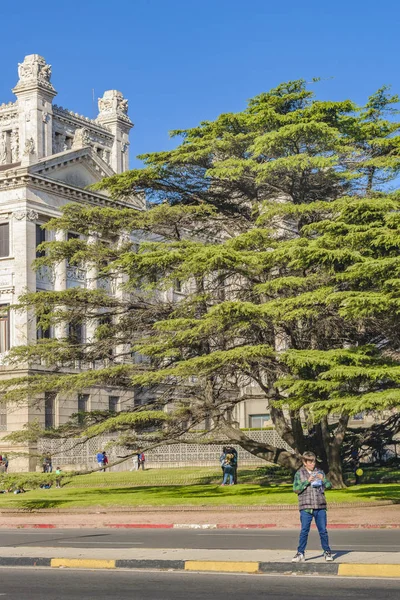 乌拉圭蒙得维的亚 2018年10月 2018年10月 位于乌拉圭蒙特维代市的立法权宫殿建筑的外部景观 — 图库照片