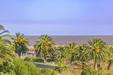 Kentsel kıyı park yaz gün sahne City'deki montevideo, Uruguay