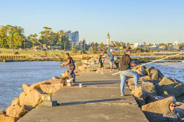 Montevideo Uruguay December 2018 Groep Van Mensen Vissen Golfbreker Zomer — Stockfoto