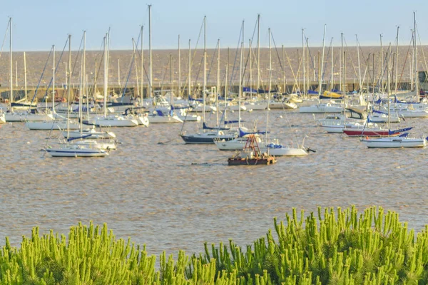 Lotes Iates Outros Barcos Pequeno Porto Recreativo Cidade Montevideo Uruguai — Fotografia de Stock