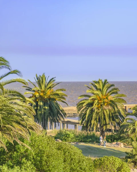 Stadspark Kust Zomer Dag Scène Stad Van Montevideo Uruguay — Stockfoto