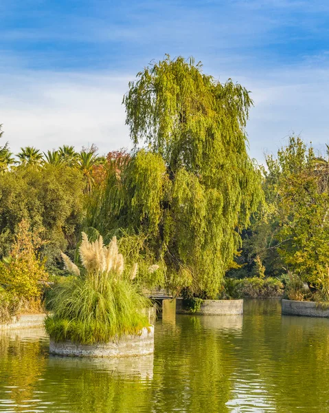 Quinta Normal Park, Santiago de Chile — ストック写真