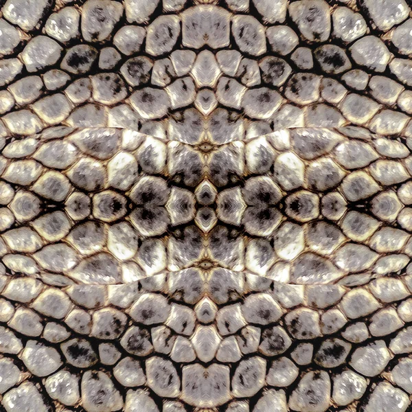 Stylized Snakeskin Seamless Pattern — Stock Photo, Image