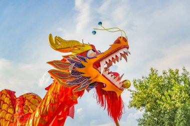 Dragon Dance, Çin yeni yılı, Montevideo, Uruguay