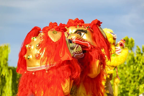 Lion Dance, Китайский Новый год, Монтевидео, Уругвай — стоковое фото