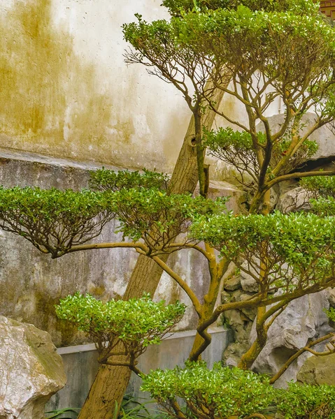 Yuyuan Bahçe, Shanghai, Çin — Stok fotoğraf