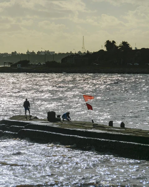 Escena de verano costera de Montevideo, Uruguay —  Fotos de Stock