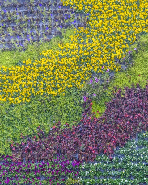Διακόσμηση λουλουδιών Wall, Σανγκάη, Κίνα — Φωτογραφία Αρχείου