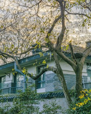 Batı Gölü, hangzhou, Çin