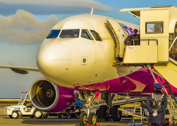 Flugzeug geparkt auf dem Flughafen von Osaka, Japan — Stockfoto