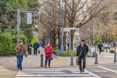 People Crossing Street, Yokohama, Japonya