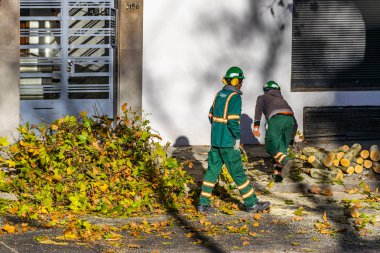 Şehir Işçileri kesme ağaçları, Montevideo, Uruguay