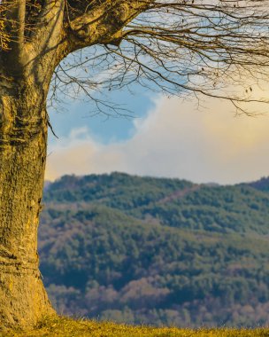 Nagano Alpleri Manzara, Japonya