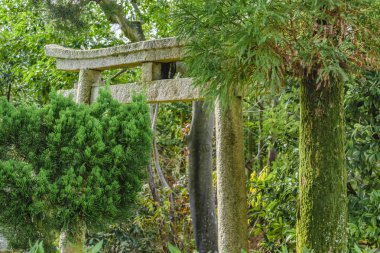 Filozof Yolu, Kyoto, Japonya