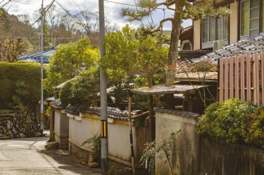 Filozof Yolu, Kyoto, Japonya