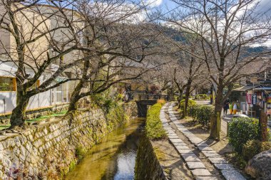 Filozof Yolu, Kyoto, Japonya