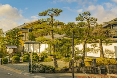 Filozof Yolu, Kyoto, Japonya