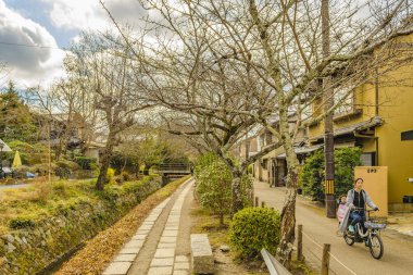 Filozof Yolu, Kyoto, Japonya