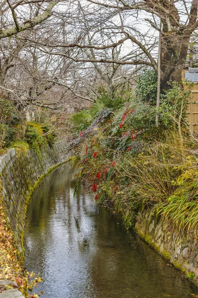 Filozofská stezka, Kjóto, Japonsko — Stock fotografie