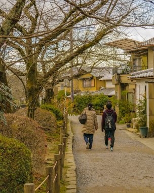 Filozof Yolu, Kyoto, Japonya
