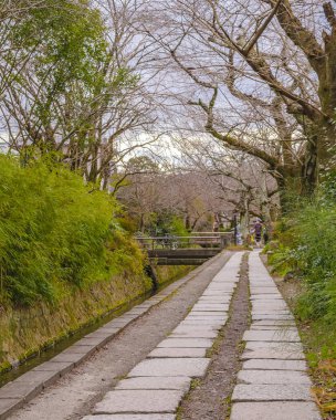 Filozof Yolu, Kyoto, Japonya