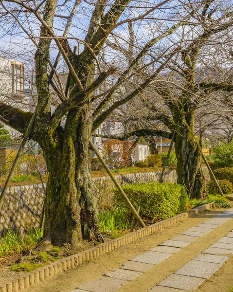 Filozofská stezka, Kjóto, Japonsko — Stock fotografie