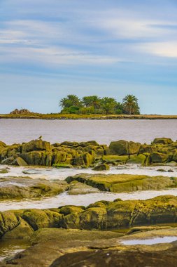 Martılar Adası, Montevideo, Uruguay