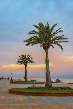 Sahil Meydanı, Montevideo, Uruguay