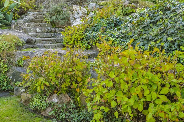 Rustic Style Front House Garden — Stock Photo, Image