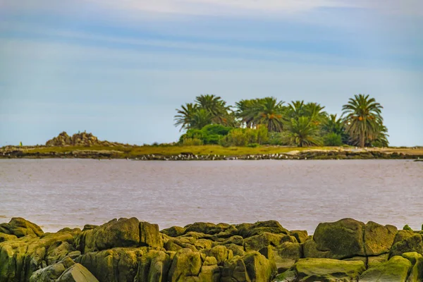 Isla Gulls, Montevideo, Uruguay — Foto de Stock