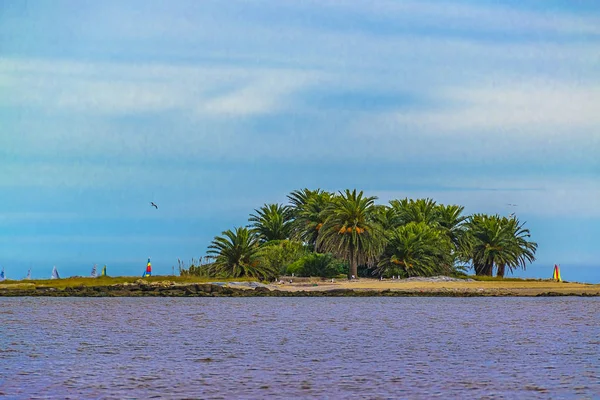 Gulls Island, Montevideo, Uruguay — Stock Photo, Image