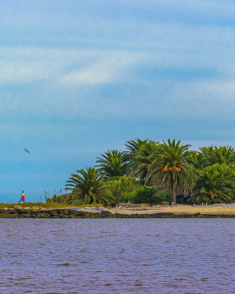 Ilha das Gaivotas, Montevidéu, Uruguai — Fotografia de Stock