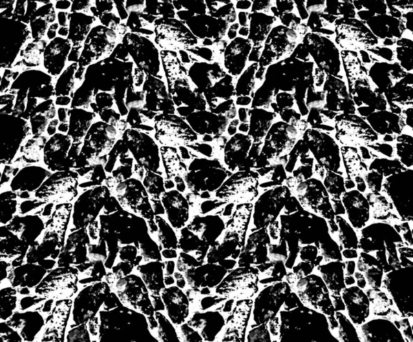 Černá a bílá abstraktní textura — Stock fotografie
