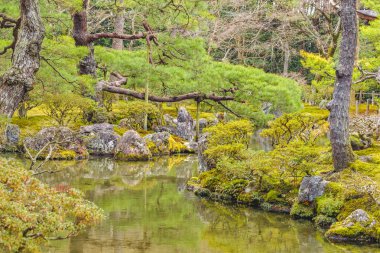 Ginkakuji Silver Pavilion Garden, Kyoto, Japonya