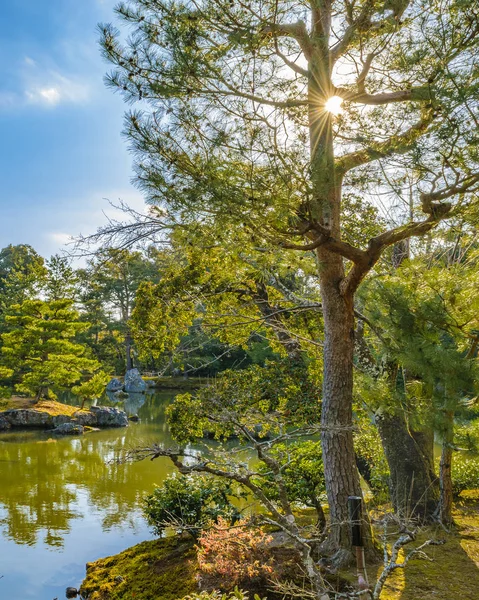 Kinkakuji Golden Pavilion, Kyoto, Japon — Photo