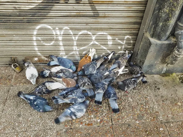 垃圾扔在街上,蒙得维的亚,乌拉圭 — 图库照片