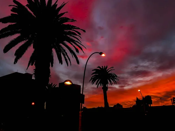 Montevideo Urban Sunset Scene — Stock Photo, Image