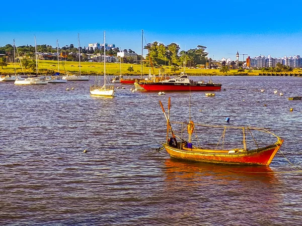 Bateaux et bateaux à Buceo Port, Montevideo, Uruguay — Photo