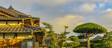 Yamaguchi Urban Scene, Japonya