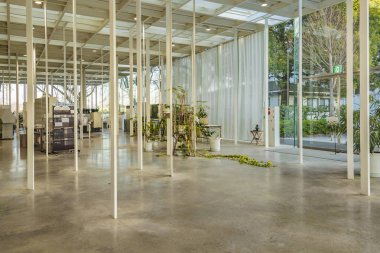 Kanagawa Teknoloji Enstitüsü, Japonya