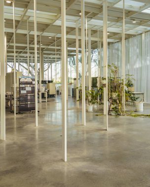 Kanagawa Teknoloji Enstitüsü, Japonya