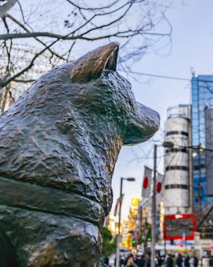 Hachiko Köpek Heykeli, Tokyo, Japonya