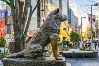 Hachiko Köpek Heykeli, Tokyo, Japonya